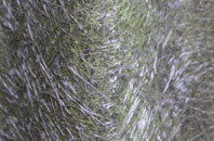 Middle Herrington fibreglass roof work